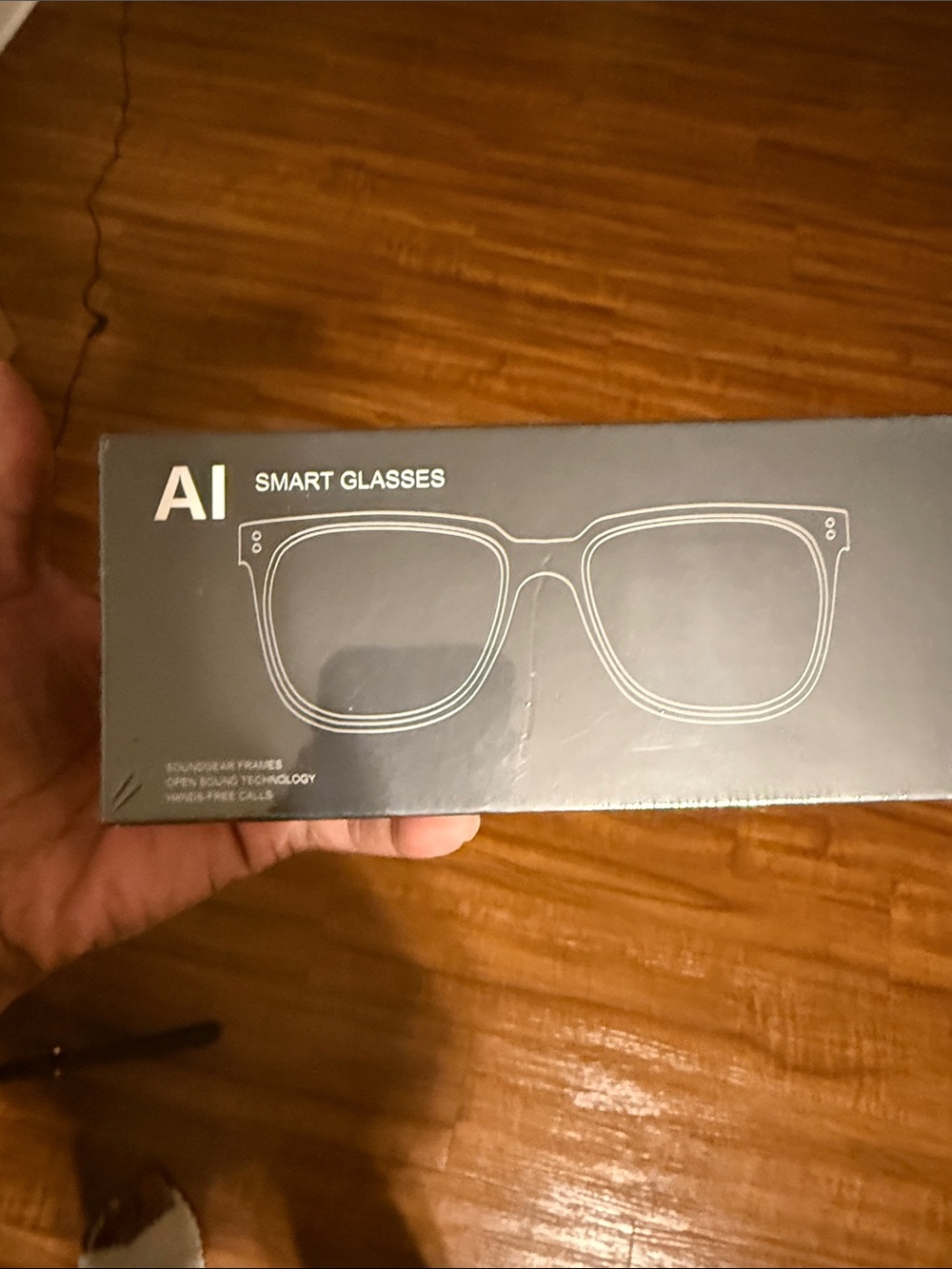 Smart Glasses in Black - Smart Glasses